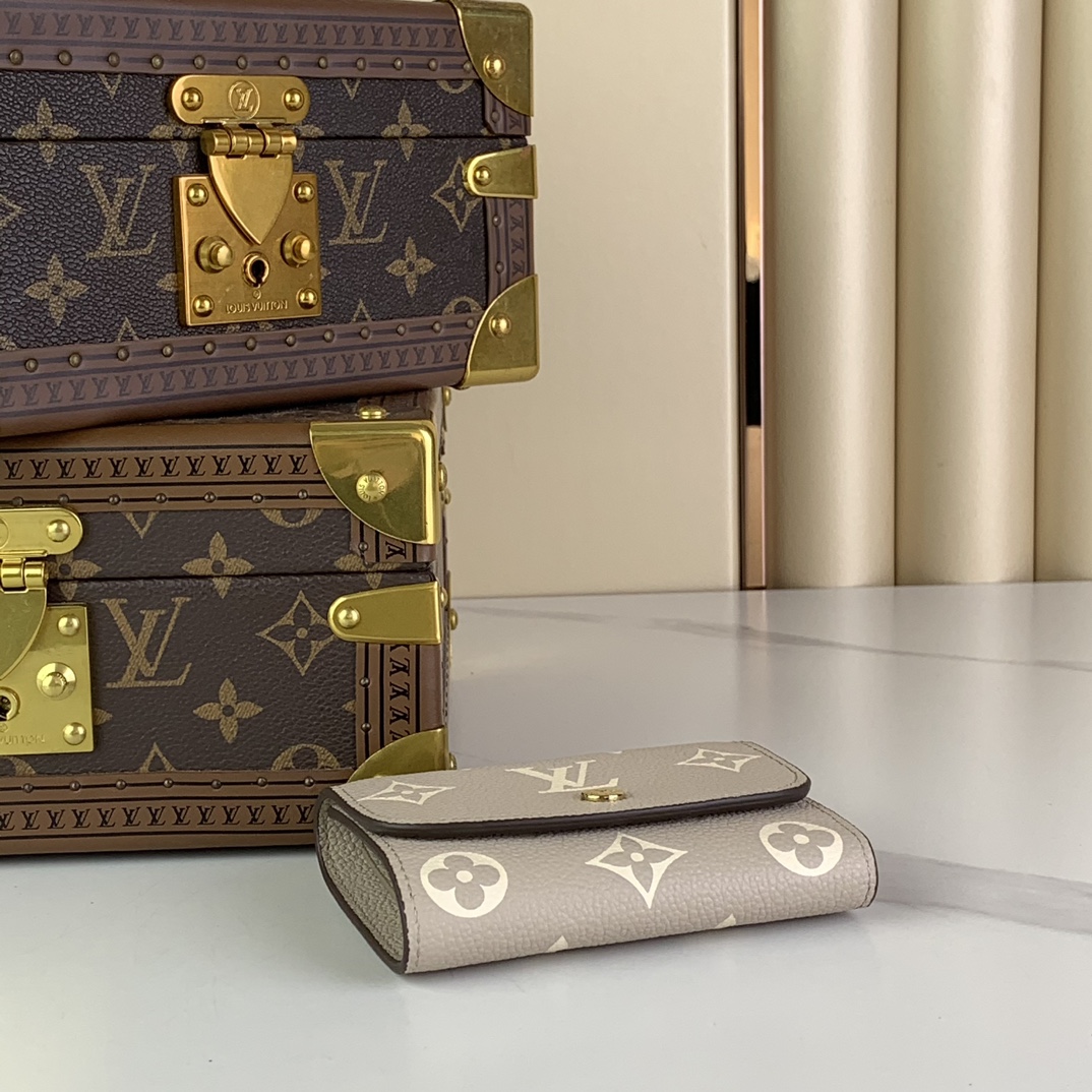 Louis Vuitton Wallets Purse